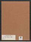 Navicula holstii Cleve (de-Toni-Nr.: Genus 1, Species 47) Zeichnungen Sammlung Grunow Mappe 00039 (Herbarium_W_Grunow_drawings_Folder_00039)